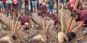 Cesetler &uuml;zerinde talan yarışı: Nepal'deki sel felaketinde insanlık dışı g&ouml;r&uuml;nt&uuml;ler!