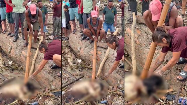 Cesetler üzerinde talan yarışı: Nepal'deki sel felaketinde insanlık dışı görüntüler!