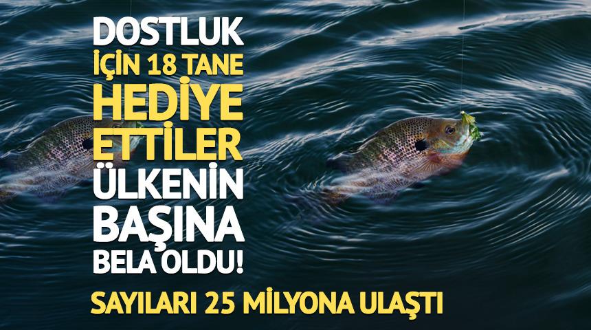 Dostluk i&ccedil;in 18 tane hediye ettiler, &uuml;lkenin başına bela oldu! Sayıları 25 milyona ulaştı