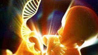 Fetal gelişim kısıtlığı bebekleri tehdit ediyor! Bebek doğmadan önce gelişim geriliği yaşamaması için ne yapılmalı?