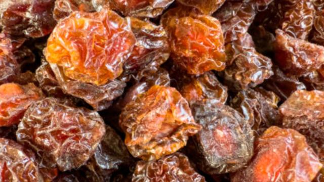 Manisa'da sezonun ilk hasadı açık artırmada! Kilosu 4 bin liradan alındı