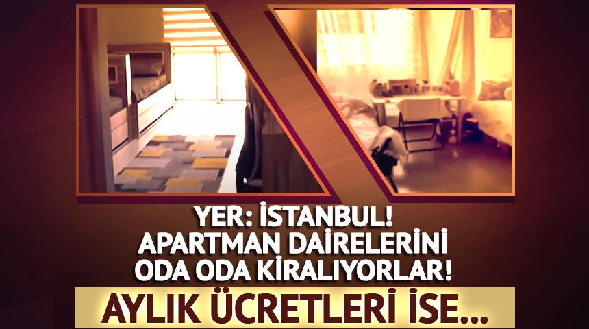 Yer: İstanbul! Apartman dairelerini oda oda kiralıyorlar