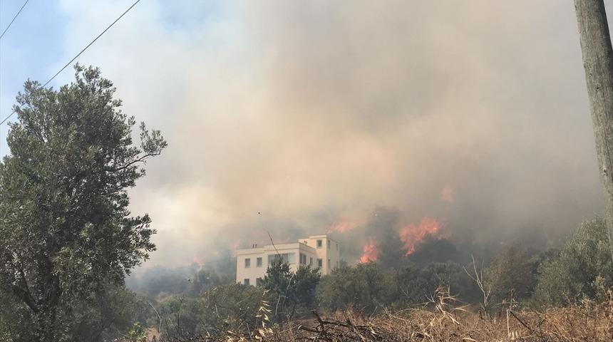 Bodrum'da yerleşim alanlarına yakın b&ouml;lgede yangın!
