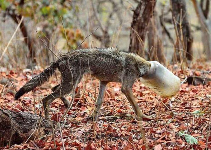 İçinde ne olduğunu merak edince... G3