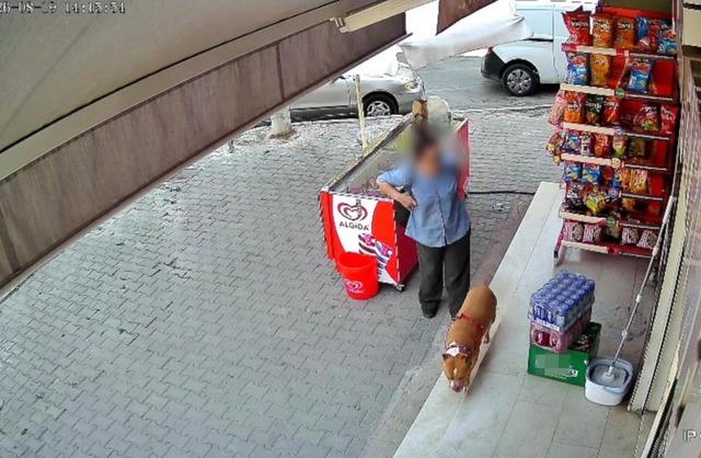 İzmir’de pitbull saldırısı: 5 çocuk annesi kadının parmağı koptu 1