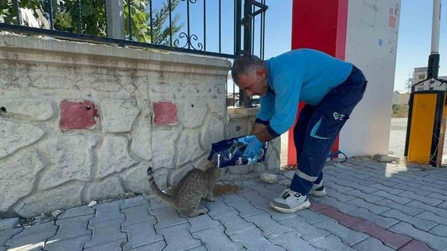 Adıyaman Belediyesi&rsquo;nden sokak hayvanlarına mama ve su desteği 1