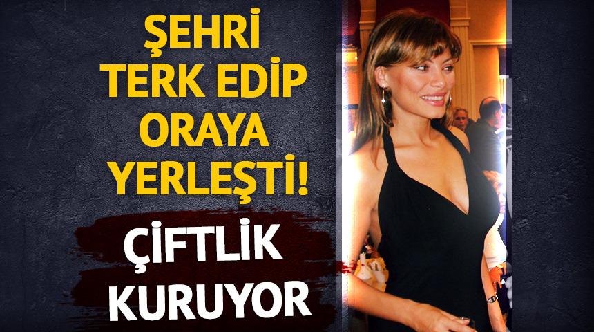 Şehri terk edip oraya yerleşti! &Ccedil;iftlik kuruyor