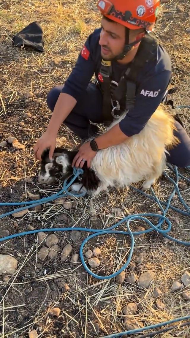 Obrukta mahsur kalan keçiyi AFAD ekipleri kurtardı 5