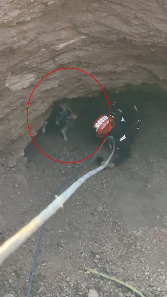 Obrukta mahsur kalan keçiyi AFAD ekipleri kurtardı 1