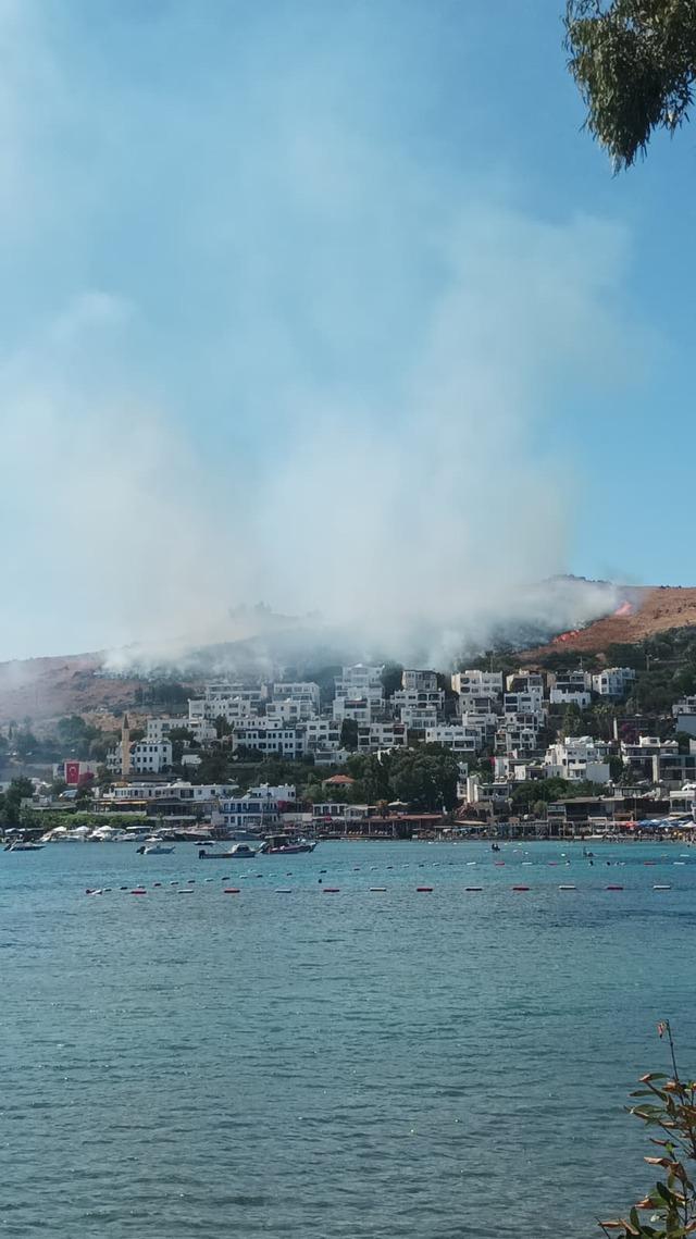 Bodrum&rsquo;da makilik yangını 3
