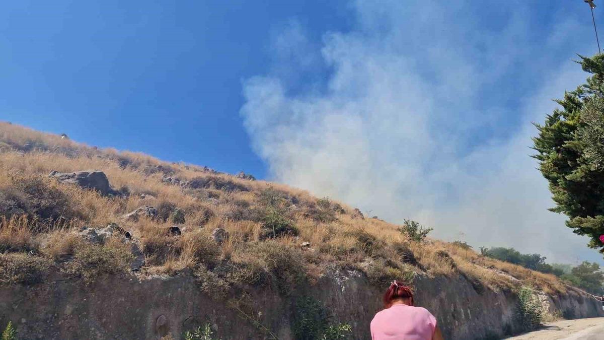 Bodrum’da makilik yangını - Mynet Yaşam