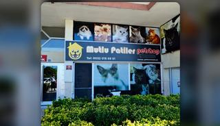 Ankara&rsquo;da kedi oteli arayanlar i&ccedil;in yeni nesil konaklama: Suit oda, bireysel bakım ve kontroll&uuml; konaklama