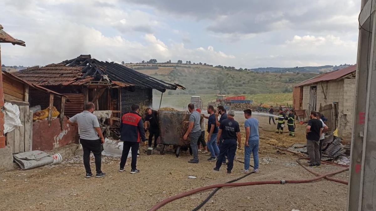 Samsun'da ambarda yangın: 7 ton buğday küle döndü - Güncel Haberler