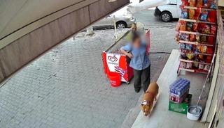 İzmir'de pitbull saldırısı: 5 &ccedil;ocuk annesi kadının parmağı koptu