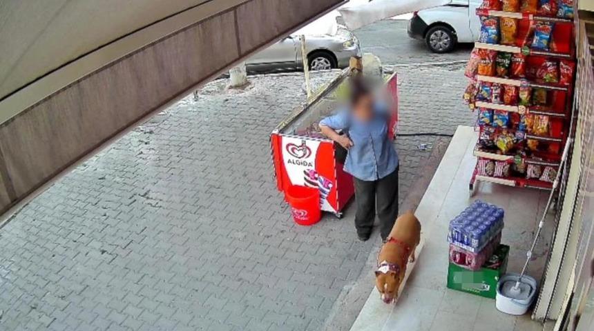 İzmir'de pitbull saldırısı: 5 &ccedil;ocuk annesi kadının parmağı koptu