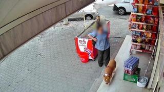 İzmir'de pitbull saldırısı: 5 çocuk annesi kadının parmağı koptu