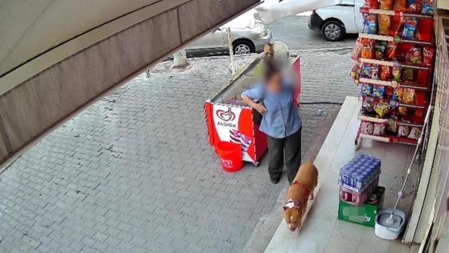 İzmir'de pitbull saldırısı: 5 çocuk annesi kadının parmağı koptu
