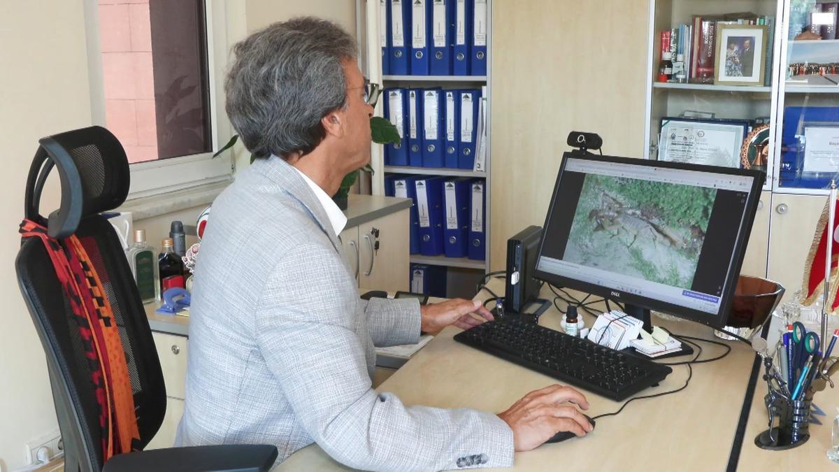 İstanbul da dev &ccedil;ekirgelerden sonra yeni alarm: Akrepler! 2 il&ccedil;eye dikkat 1