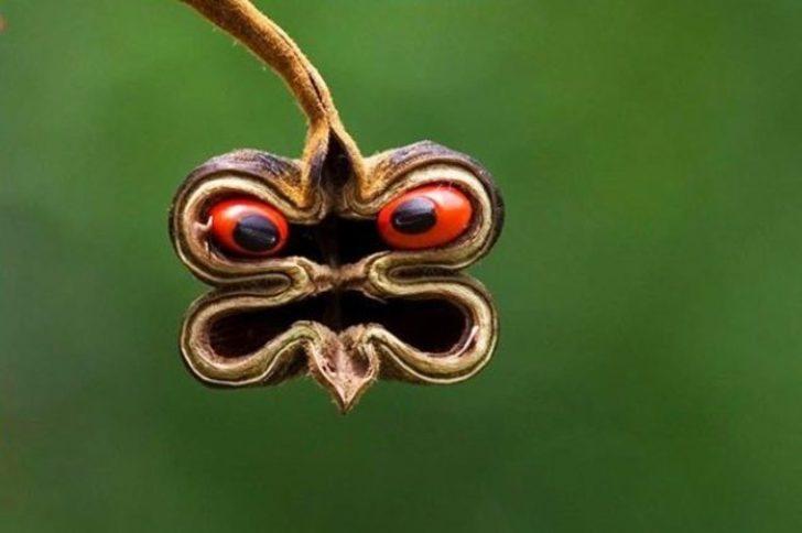  Dikkatli gözlere yakalanan gizli yüzler G1