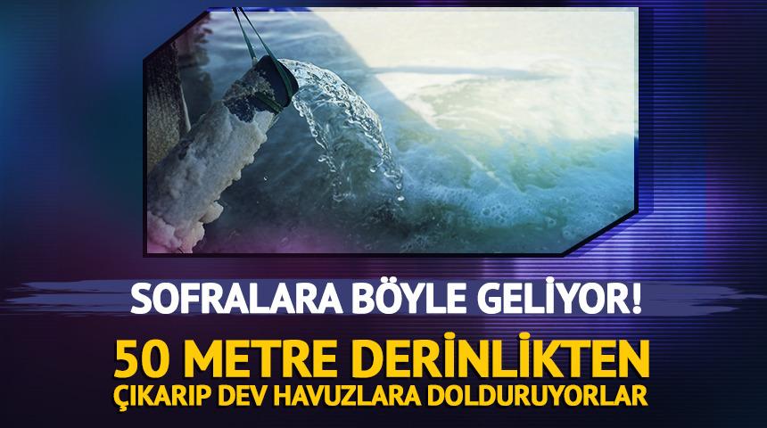 50 metre derinlikten &ccedil;ıkarıp dev havuzlara dolduruyorlar! Sofralara b&ouml;yle geliyor