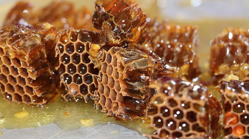 Hasadı tamamlandı, fiyatı belli oldu! Kilosu 7 bin TL'den satılacak