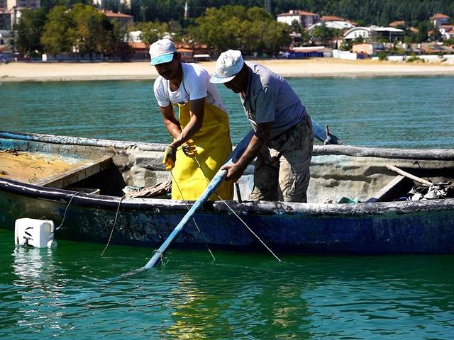 Eğirdir G&ouml;l&uuml;'n&uuml;n kerevitleri ihracatla ekonomiye katkı sağlıyor