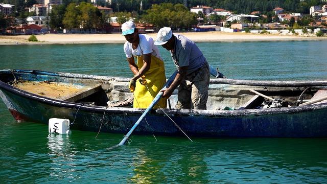 Eğirdir Gölü'nün kerevitleri ihracatla ekonomiye katkı sağlıyor
