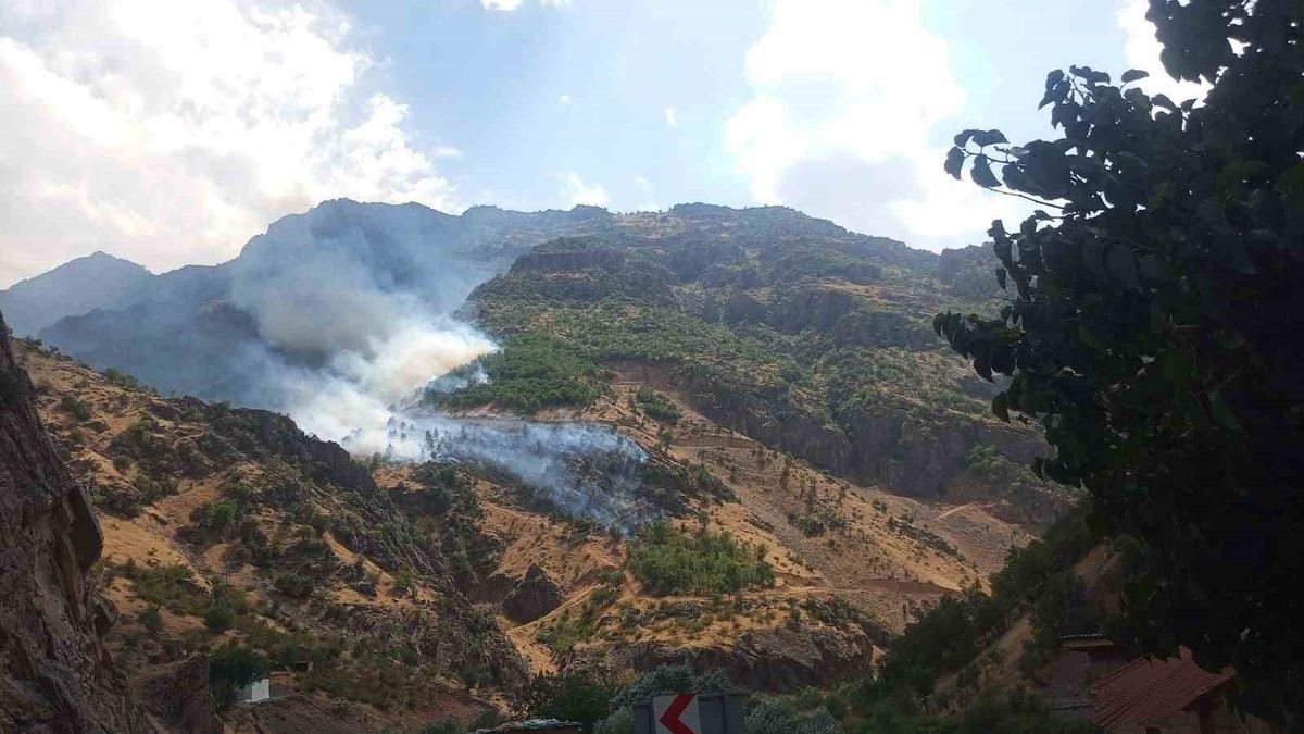 Hakkari’de orman yangınına giden arazöz Zap Suyu’na uçtu: 3 yaralı - Güncel Haberler