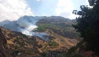 Hakkari&rsquo;de orman yangınına giden araz&ouml;z Zap Suyu&rsquo;na u&ccedil;tu: 3 yaralı