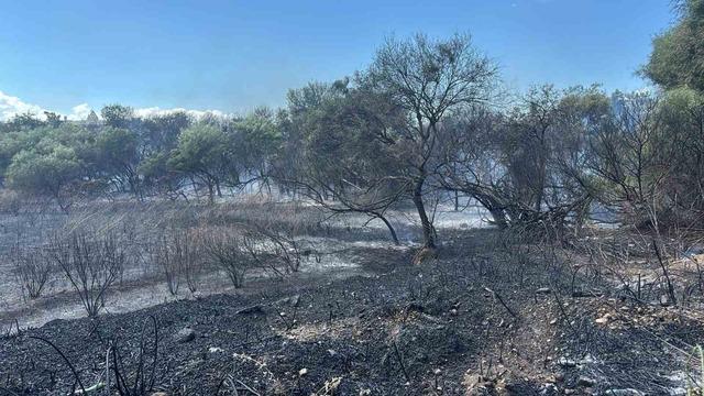 Manavgat&rsquo;ta boğaz mendirek yolunda korkutan yangın 1