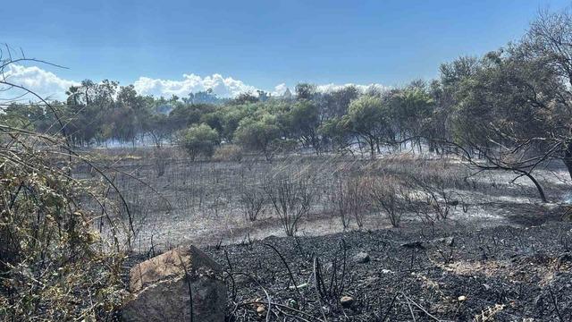 Manavgat’ta boğaz mendirek yolunda korkutan yangın