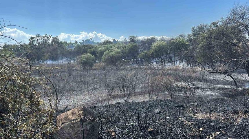 Manavgat&rsquo;ta boğaz mendirek yolunda korkutan yangın
