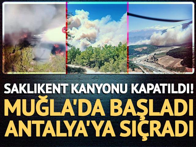 Muğla'da başlayan orman yangını Antalya'ya sı&ccedil;radı!