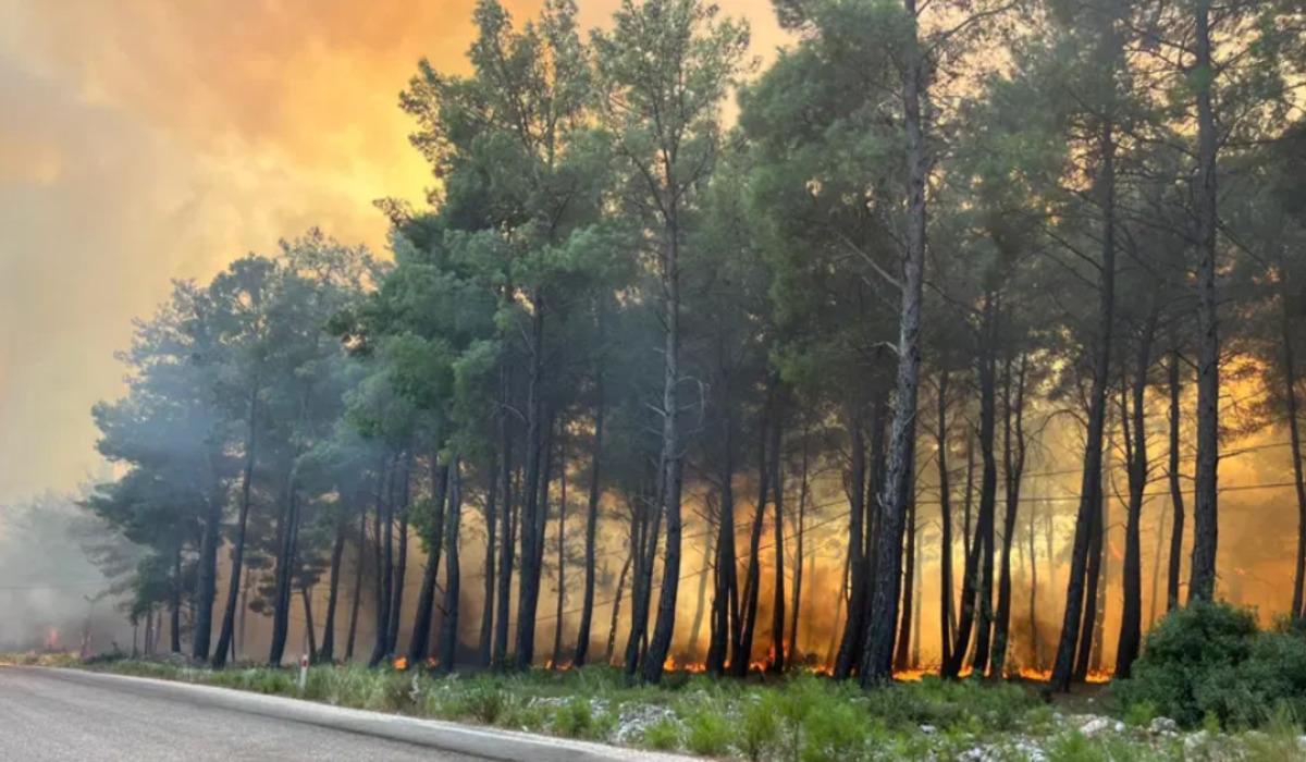 Muğla da başlayan orman yangını Antalya ya sı&ccedil;radı! Saklıkent kapatıldı 2