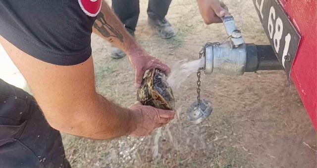 Manavgat&rsquo;ta boğaz mendirek yolunda korkutan yangın 4