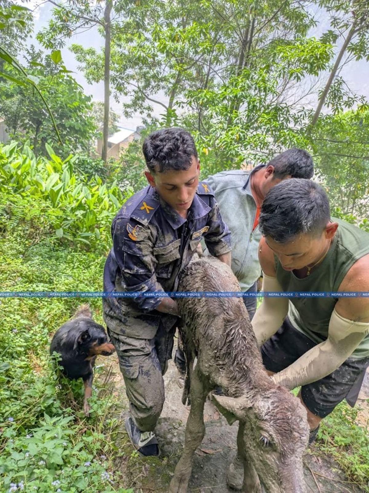 Nepal’deki sel felaketinde can kaybı 676’ya yükseldi 2