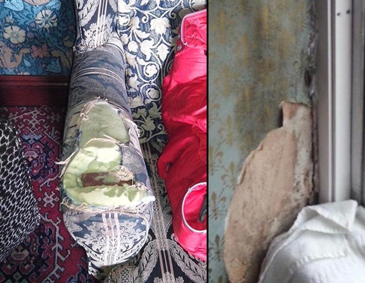  Sosyal medyadan yorum yağdı! Oraya giren gözlerine inanamıyor G1