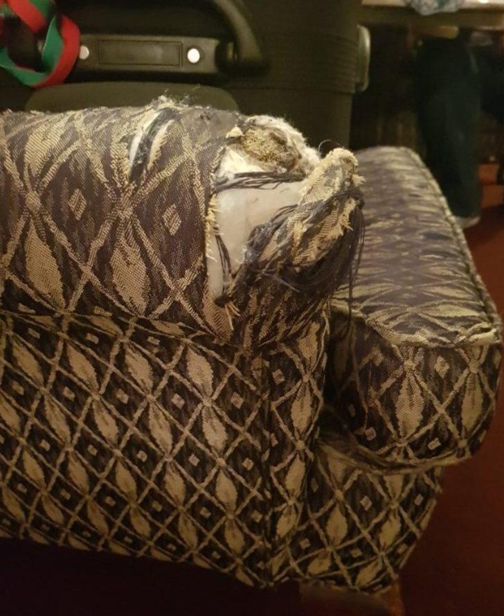  Sosyal medyadan yorum yağdı! Oraya giren gözlerine inanamıyor G2