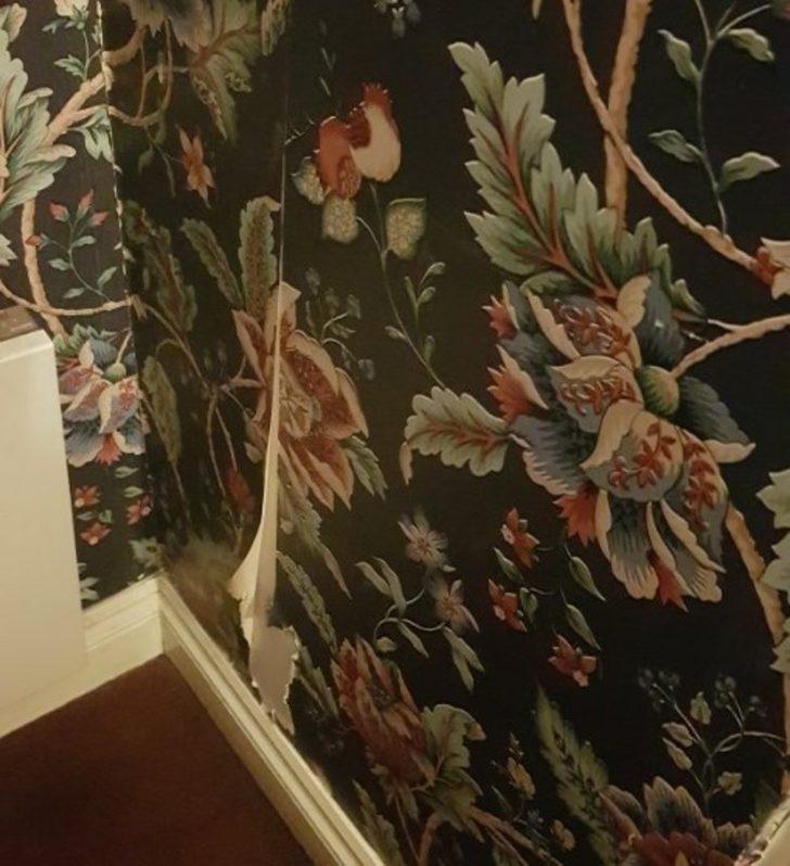  Sosyal medyadan yorum yağdı! Oraya giren gözlerine inanamıyor G5