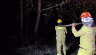 Kaş'taki orman yangını b&uuml;y&uuml;k &ouml;l&ccedil;&uuml;de kontrol altında
