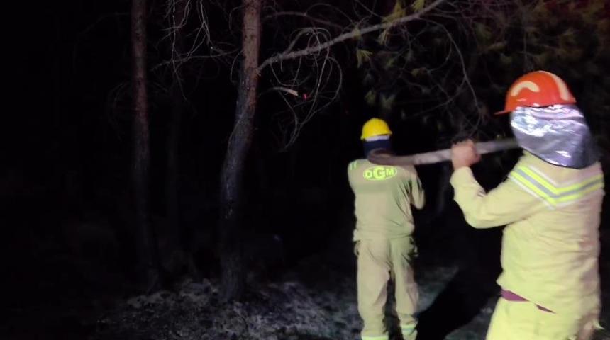 Kaş'taki orman yangını b&uuml;y&uuml;k &ouml;l&ccedil;&uuml;de kontrol altında
