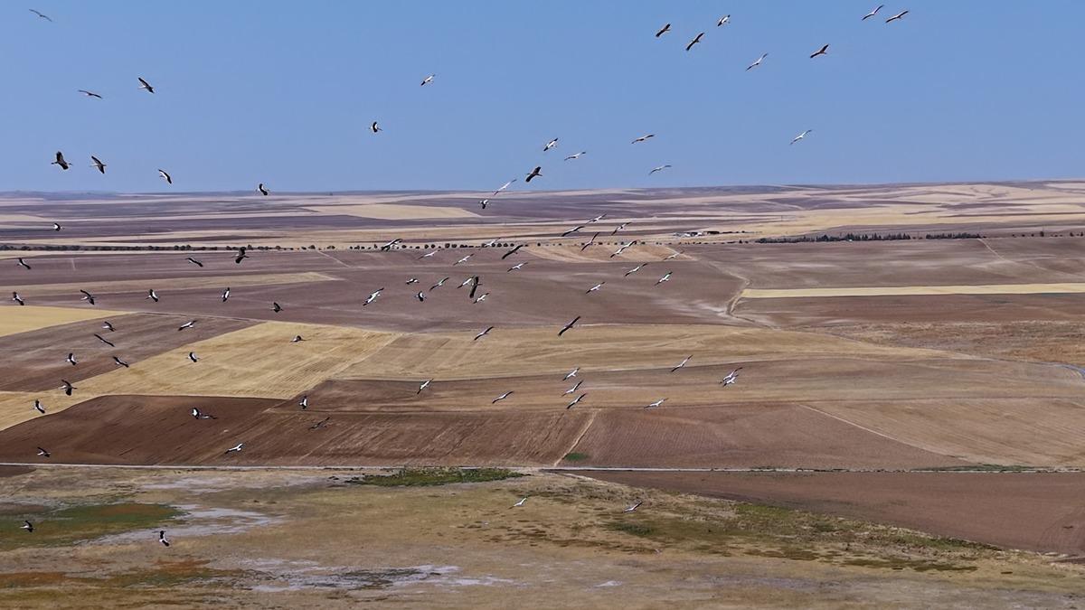 G&ouml;l&uuml;n &uuml;st&uuml;n&uuml; kapladılar: Burada konaklıyorlar! 1