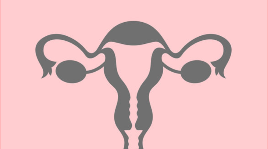 Genital estetik korkulu bir r&uuml;ya değil 