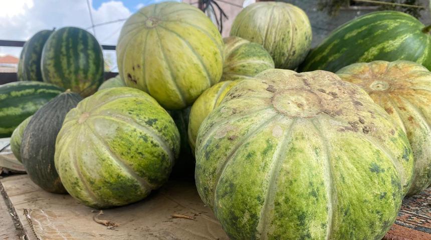 G&ouml;r&uuml;nt&uuml;s&uuml; hırsız ka&ccedil;ırıyor, tadı bağımlı yapıyor! Kilosu 15 TL'den satılıyor
