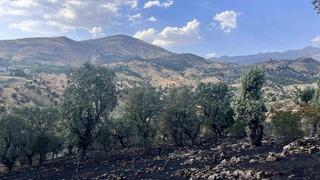 Siirt’te 5 ayrı noktada yangın alarmı