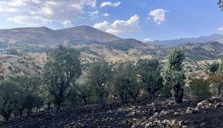 Siirt&rsquo;te 5 ayrı noktada yangın alarmı