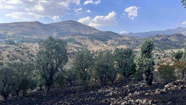 Siirt’te 5 ayrı noktada yangın alarmı