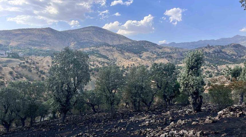 Siirt&rsquo;te 5 ayrı noktada yangın alarmı