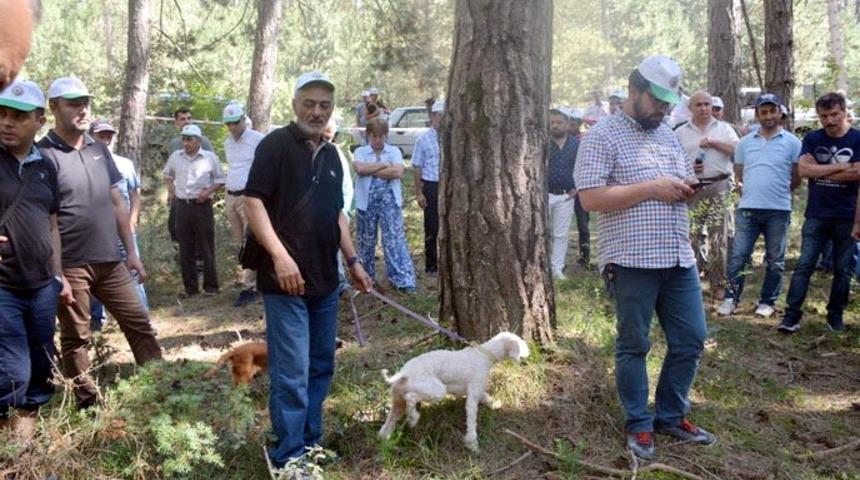 Bolu'da 'Trüf Mantarı' eğitimi