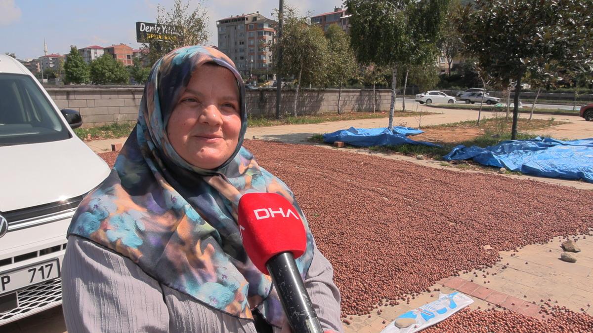 Fındıkta mesai başladı: Gece g&uuml;nd&uuml;z sahilde n&ouml;bet tutuyorlar 7